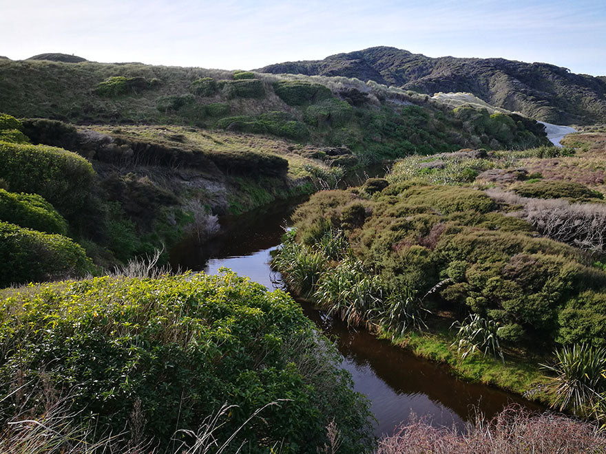 500x Riparian Combo - $3.59 each