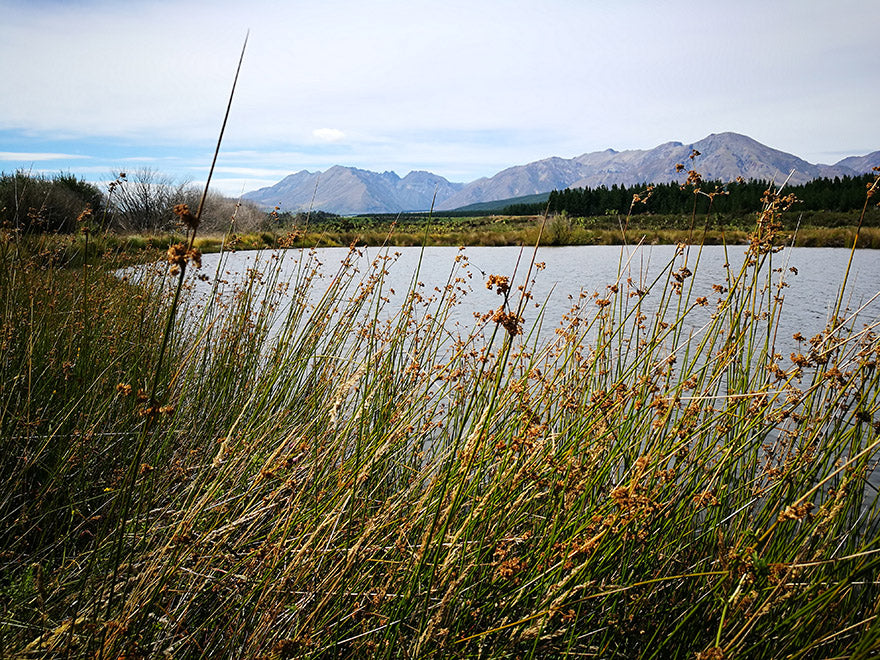 1000x Riparian Combo - $3.49 each